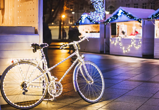 The Green Bike: A Christmas Surprise That Changed Everything